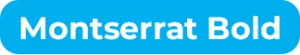 HiLo_Blog_FontChoices_Buttons_Designer_MontserratBold
