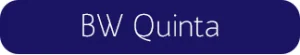 HiLo_Blog_FontChoices_Buttons_IT_BWQuinta