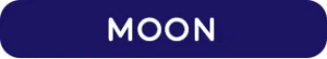 HiLo_Blog_FontChoices_Buttons_IT_Moon
