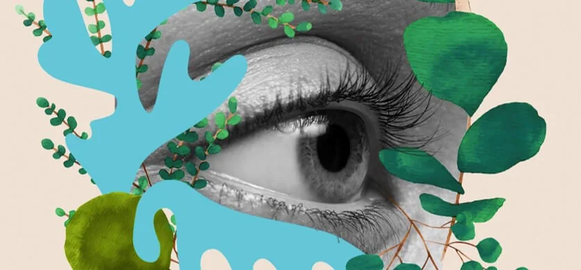 HiLo_Agency_Blog_Beitrag_visuell