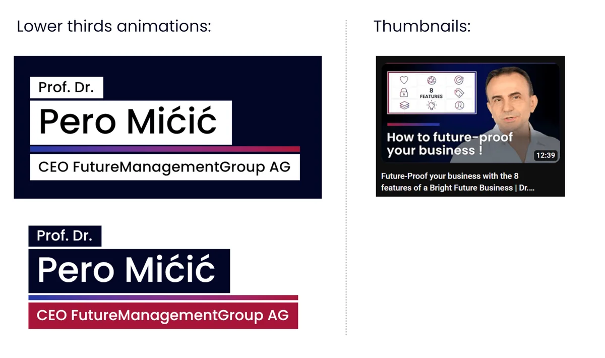 HiLo_Agency_FMG_Rebranding_Video-Elements