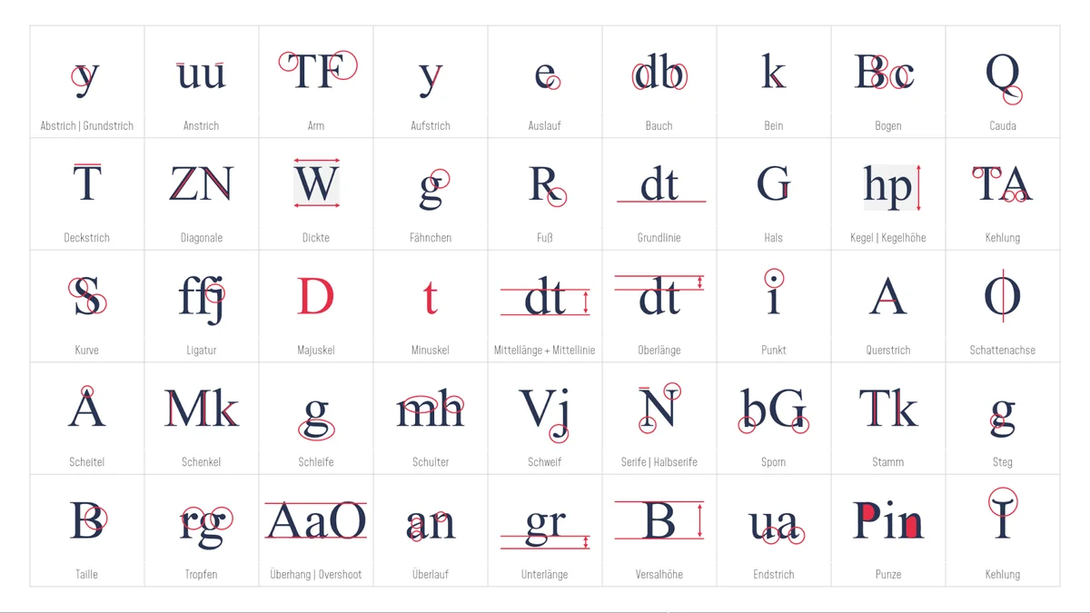 Typografische Anatomie einer Schrift – Aufbau und Fachbegriffe