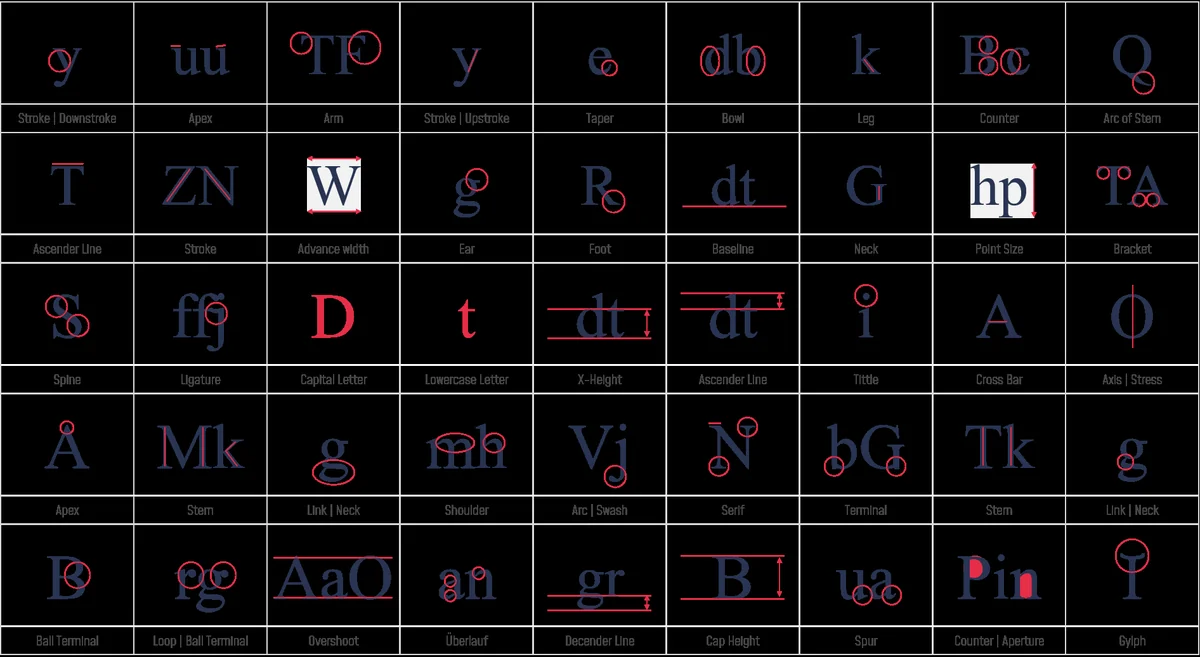 Typographic anatomy of a letterform – structure and terminology
