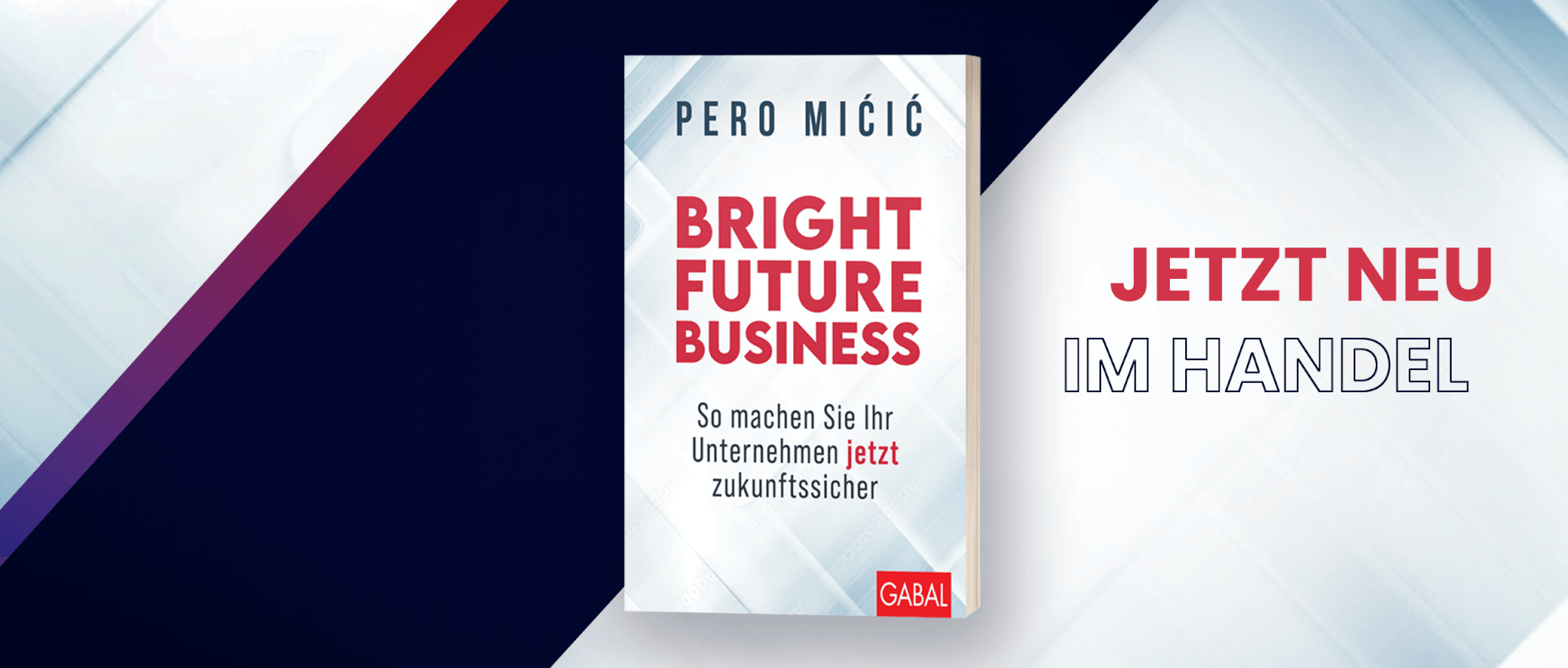 Bright Future Business - Prof. Dr. Pero Mićić
